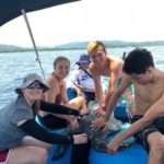 Capturing sea turtles