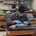 Pre Vet Suture Class